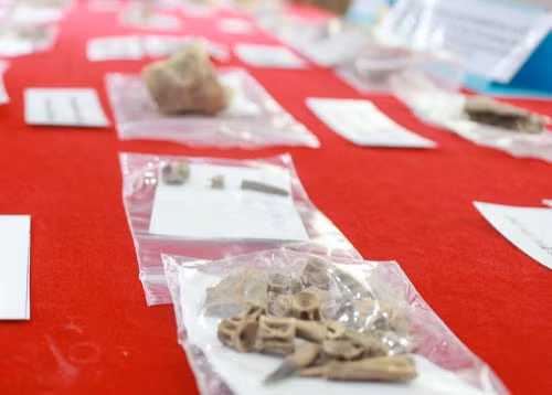 Dấu vết di cốt người tiền sử được các nhà khoa học khai quật ở hang động núi lửa Krông Nô Ảnh: Như Lai Dấu vết di cốt người tiền sử được các nhà khoa học khai quật ở hang động núi lửa Krông Nô Ảnh: Như Lai