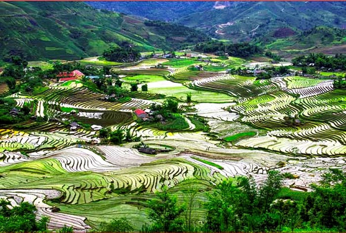 Ruộng bậc thang Tây Bắc-Di sản văn hóa Quốc gia
