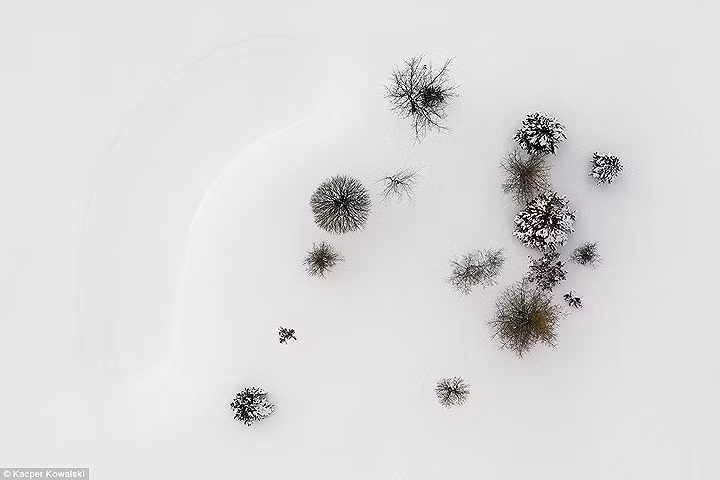 Nhiếp ảnh gia chia sẻ: 