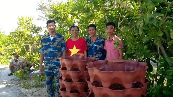 Những tháp rau đầu tiên được trồng thử nghiệm trên quần đảo Trường Sa. (Ảnh: Viện nghiên cứu và ứng dụng Nông nghiệp hữu cơ)