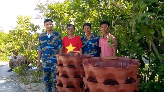 Những tháp rau đầu tiên được trồng thử nghiệm trên quần đảo Trường Sa. (Ảnh: Viện nghiên cứu và ứng dụng Nông nghiệp hữu cơ)