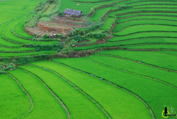 Do đường xá đi lại còn nhiều khó khăn ít người có thể tiếp cận, ruộng bậc thang ở Bản Mù không thu hút được nhiều tay máy cũng như giới du lịch tìm đến, những khung cảnh ở đây vẫn còn rất xa lạ với nhiều người.