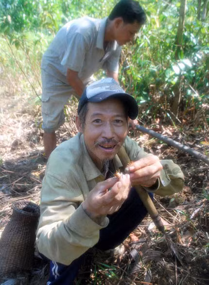 Người dân đi săn sùng đất.