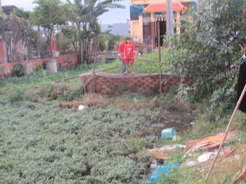 Hiện trường nơi chị C. bị quăng xuống ruộng rau. Hiện trường nơi chị C. bị quăng xuống ruộng rau.