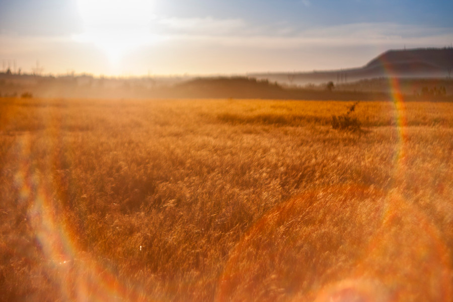 Không gian lung linh của nắng khiến màu sắc cảnh vật thêm phần sắc nét
