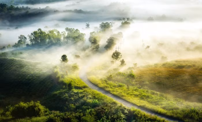 Đẹp đến mơ màng