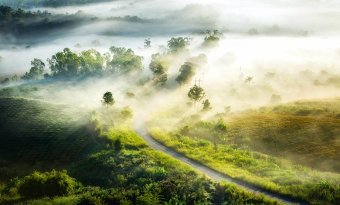 Đẹp đến mơ màng