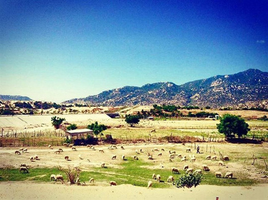 Ảnh: Tinzon Ảnh: Tinzon