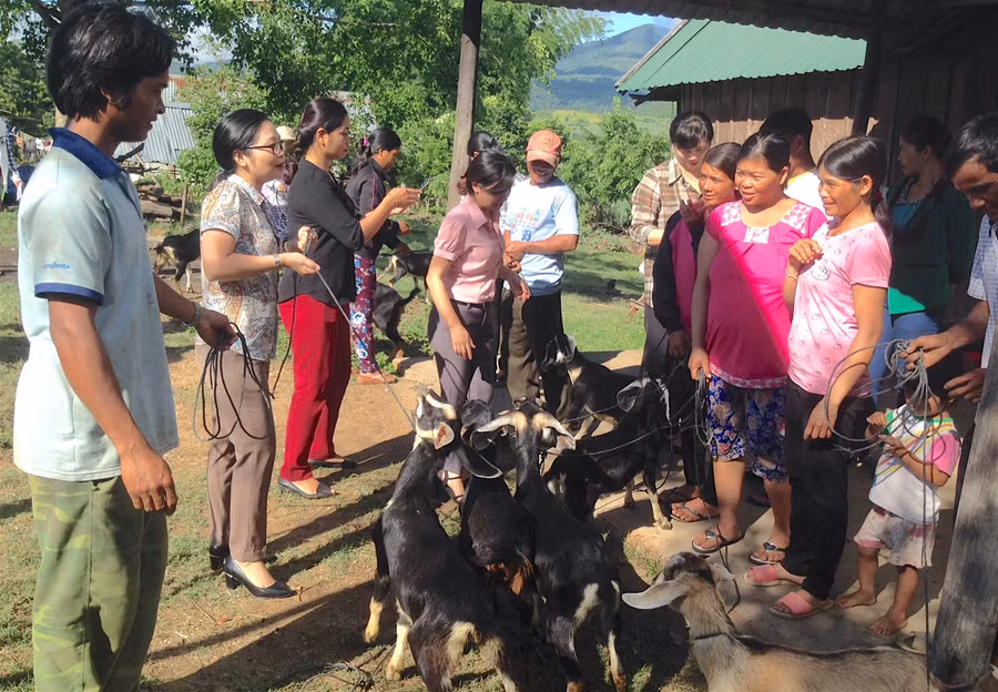 Trao dê cho các hộ phụ nữ. Ảnh: Hồng Thi