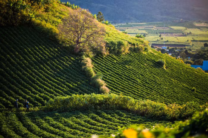 Có những điểm đến đẹp mê hồn khiến dân phượt Gia Lai ngây ngất - Ảnh: Sưu tầm