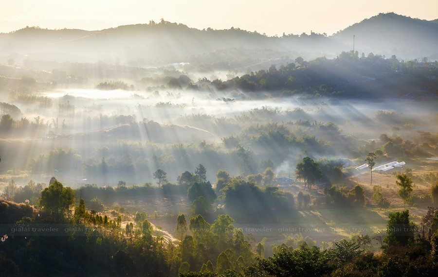Ta chọn lên Gia Lai vào một buổi sáng sương giăng mọi nẻo đường 