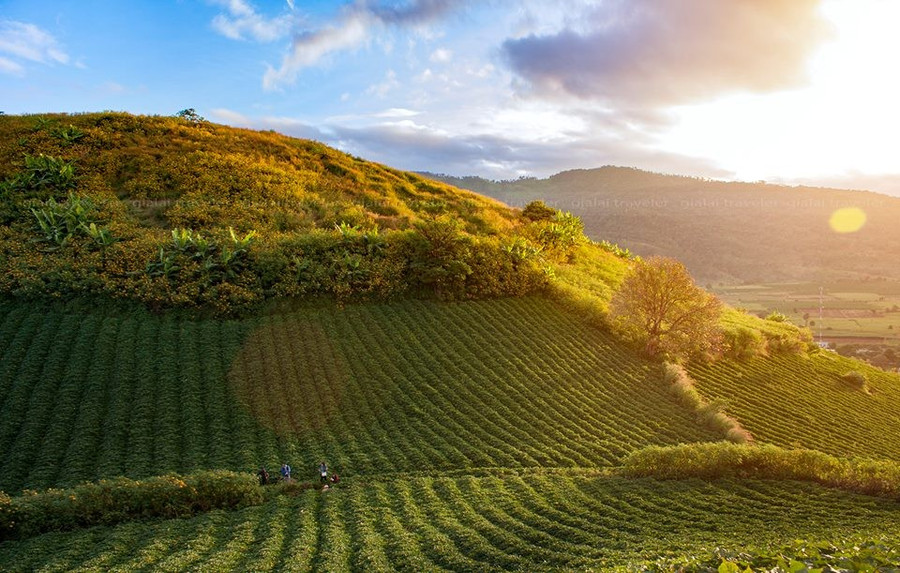 Xem nắng và sương hòa quyện - Ảnh: Ngô Thành Công