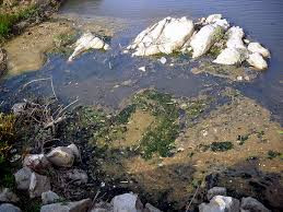 Một đoạn dòng sông Ba chảy qua thị xã An Khê bị ô nhiễm nặng (nguồn internet) Một đoạn dòng sông Ba chảy qua thị xã An Khê bị ô nhiễm nặng (nguồn internet)