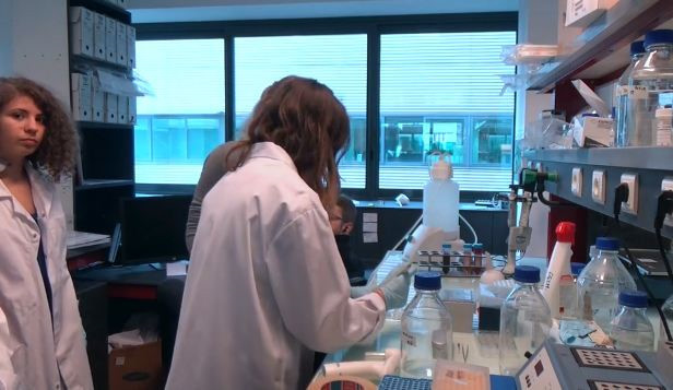 Ảnh chụp từ clip chương trình