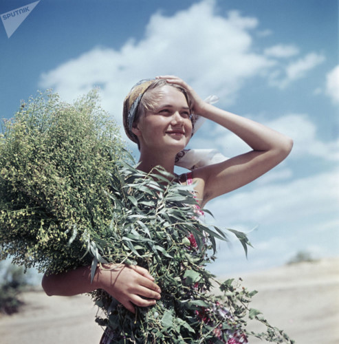  Vẻ đẹp thuần khiết của một thiếu nữ trẻ.