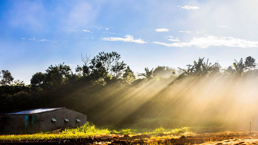 Nắng sớm khiến góc vườn nhỏ trên đường xuống biển Hồ Chè trở nên lung linh, đẹp “lạ”