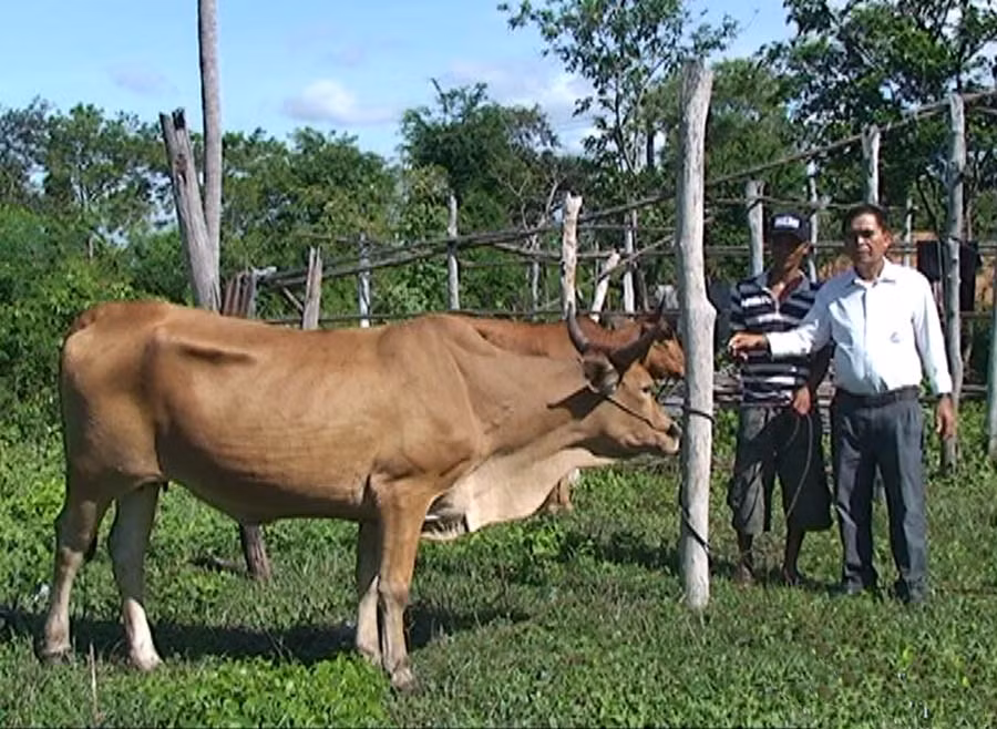 Ảnh: Ái Nghĩa Ảnh: Ái Nghĩa