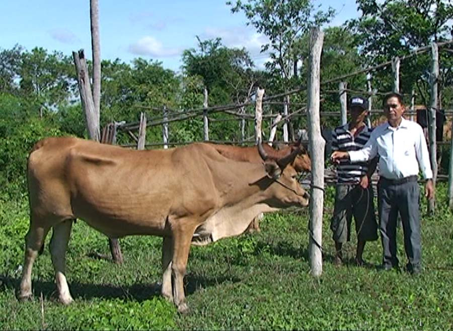 Ảnh: Ái Nghĩa Ảnh: Ái Nghĩa