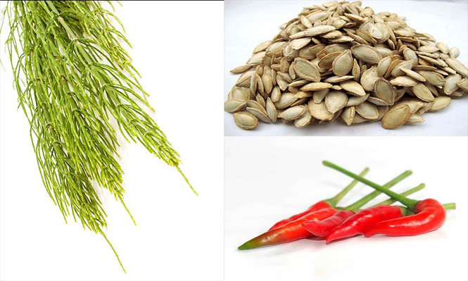  Cỏ đuôi ngựa, hạt bí đỏ, ớt... đều có thể dùng để ổn định hoạt động bàng quang.