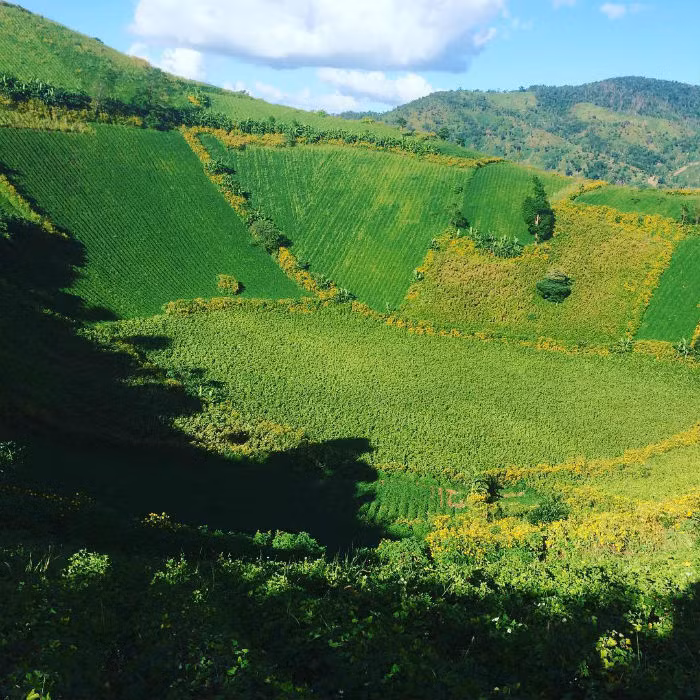Chư Đăng Ya là điểm đến không thể lỡ của những kẻ yêu thiên nhiên hoang sơ, thơ mộng - Ảnh: Thaoquyen144