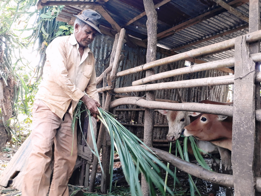 Già Sir luôn vận động dân làng làm kinh tế để thoát nghèo. Ảnh: Mai Ka Già Sir luôn vận động dân làng làm kinh tế để thoát nghèo. Ảnh: Mai Ka