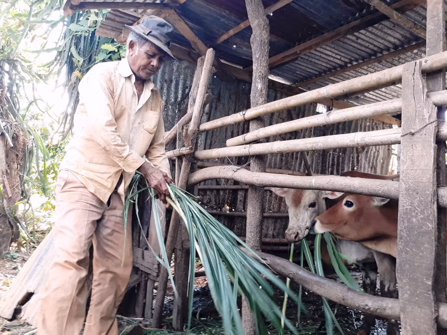 Già Sir luôn vận động dân làng làm kinh tế để thoát nghèo. Ảnh: Mai Ka