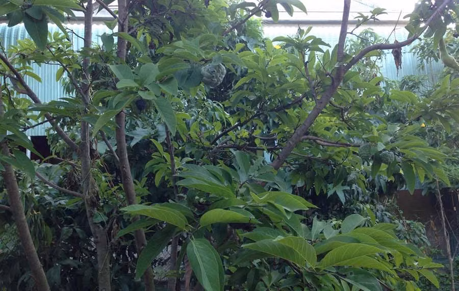 Ảnh: Nguyễn Hiền