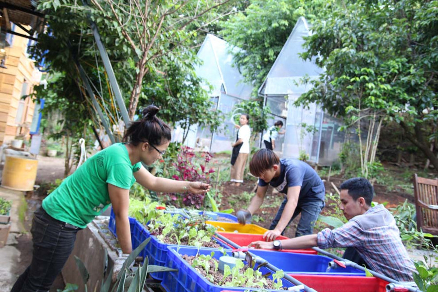 Luân (bìa phải) cùng các bạn câm điếc trồng rau phục vụ bữa ăn sạch tại quán Luân (bìa phải) cùng các bạn câm điếc trồng rau phục vụ bữa ăn sạch tại quán