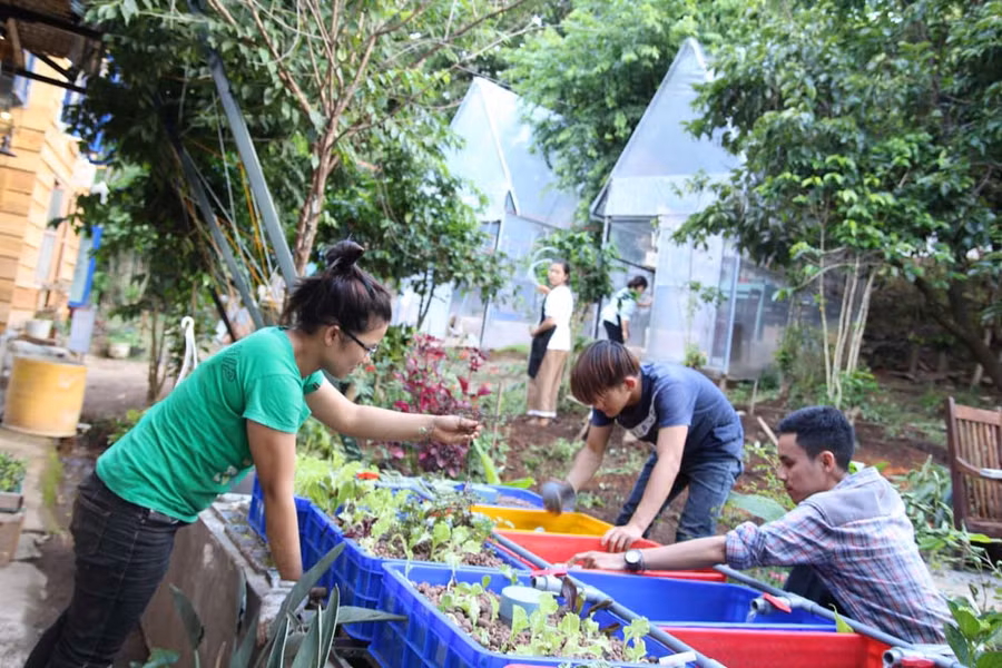 Luân (bìa phải) cùng các bạn câm điếc trồng rau phục vụ bữa ăn sạch tại quán