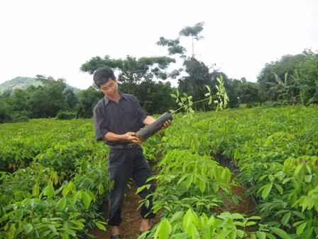 Ảnh minh họa Ảnh minh họa