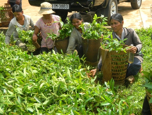 Ảnh minh họa Ảnh minh họa