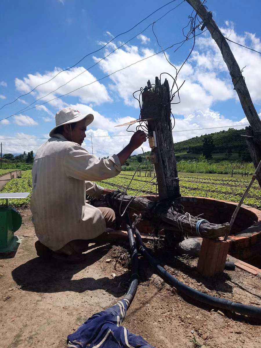 Ảnh: Tuyết Mai Ảnh: Tuyết Mai