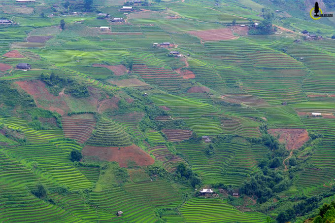 Trạm Tấu là huyện vùng cao của tỉnh Yên Bái, phía Nam giáp huyện Bắc Yên, tây giáp huyện Mường La (đều của Sơn La), phía Đông và Bắc giáp huyện Văn Chấn, còn Tây Bắc là hàng xóm kế bên địa danh Mù Cang Chải quen thuộc.