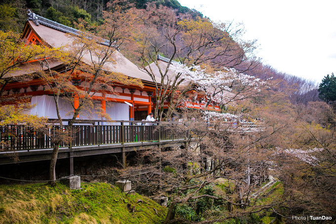 Chính điện Thanh Thuỷ Tự được xây trên vách núi, mặt tiền của chính điện nằm trên một đài cao làm từ 139 cột gỗ dài 12 mét, kết cấu rường cột giao nhau chắc chắn. Chính điện Thanh Thuỷ Tự được xây trên vách núi, mặt tiền của chính điện nằm trên một đài cao làm từ 139 cột gỗ dài 12 m, kết cấu rường cột giao nhau chắc chắn.