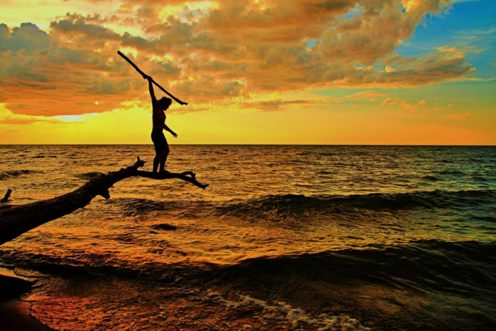 Câu cá: Nếu bạn có thể sử dụng giáo hoặc trang bị cho mình lưới đánh cá thì chắc hẳn bạn sẽ có một bữa tối tuyệt vời với các loại hải sản biển. Tuy nhiên bạn cần đốt lửa trước khi chế biến nếu đó không phải là món sushi. Câu cá: Nếu bạn có thể sử dụng giáo hoặc trang bị cho mình lưới đánh cá thì chắc hẳn bạn sẽ có một bữa tối tuyệt vời với các loại hải sản biển. Tuy nhiên bạn cần đốt lửa trước khi chế biến nếu đó không phải là món sushi.