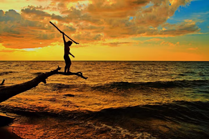 Câu cá: Nếu bạn có thể sử dụng giáo hoặc trang bị cho mình lưới đánh cá thì chắc hẳn bạn sẽ có một bữa tối tuyệt vời với các loại hải sản biển. Tuy nhiên bạn cần đốt lửa trước khi chế biến nếu đó không phải là món sushi. Câu cá: Nếu bạn có thể sử dụng giáo hoặc trang bị cho mình lưới đánh cá thì chắc hẳn bạn sẽ có một bữa tối tuyệt vời với các loại hải sản biển. Tuy nhiên bạn cần đốt lửa trước khi chế biến nếu đó không phải là món sushi.