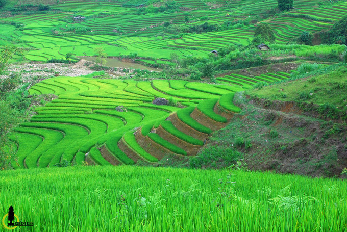 Cung đường này ngày xưa được những tay phượt lão luyện gọi là cung đường 