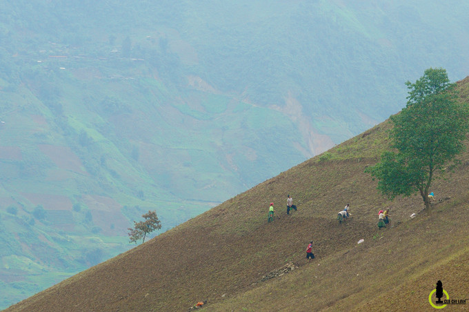 Đã bắt đầu có nhiều đoàn thiện nguyện quan tâm đến Bản Mù hơn trước, cùng với việc sắp tới sẽ làm đường nhựa thông toàn tuyến Trạm Tấu, hi vọng trong tương lai không xa 
