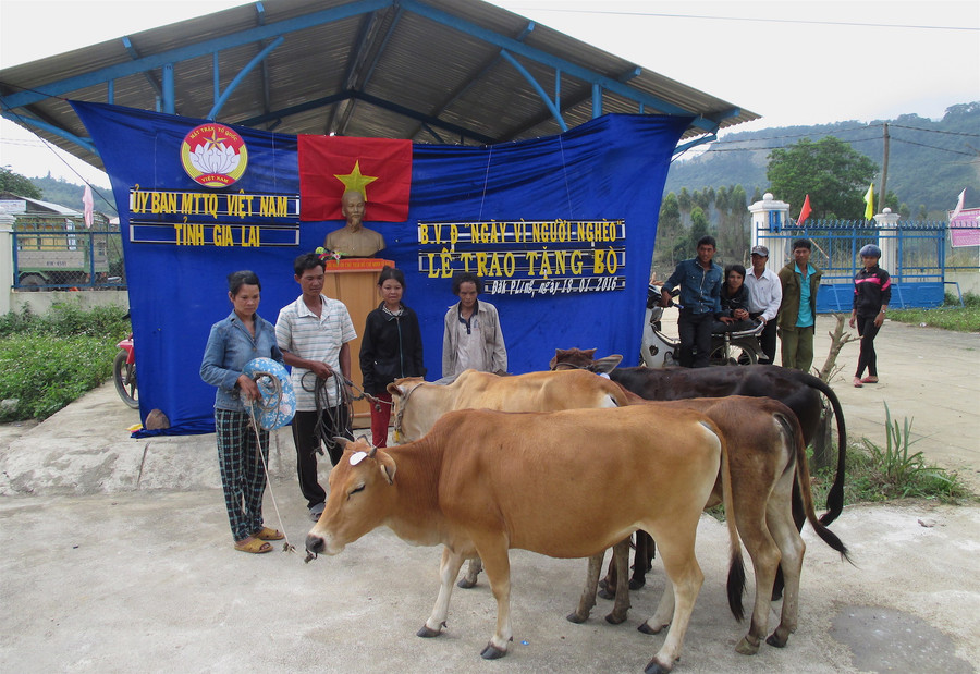 Hỗ trợ giống vật nuôi cũng là một trong những giải pháp giúp các hộ dân tộc thiểu số vươn lên thoát nghèo. Ảnh: Hồng Thi 