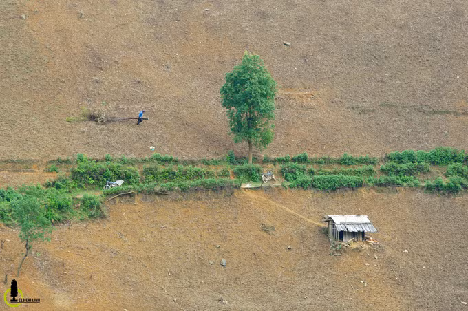 Xã Bản Mù ngày nay còn rất nghèo với dân cư phần đông là dân tộc Mông, phân bổ chừng 25-30 người/km2.