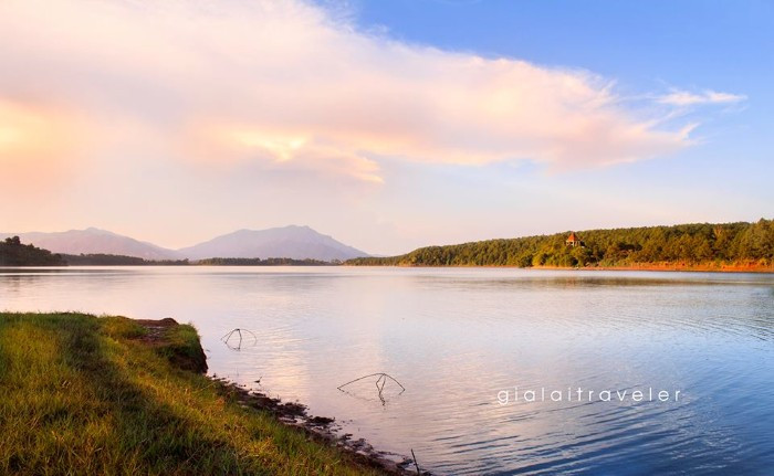  Là cuộc sống của biết bao loài.