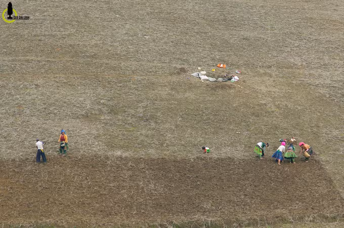 Người Mông ở đây sinh sống chủ yếu bằng nghề nông, trồng lúa, trồng bắp trên những quả đồi, ngọn núi trong thung lũng.