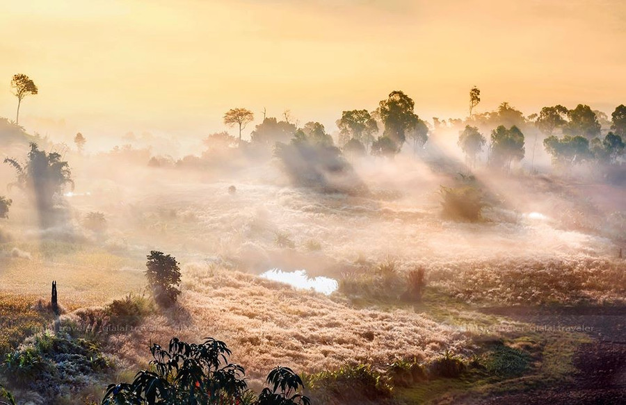 Ta bỗng thấy nắng cùng sương đang đùa vui trên muôn nẻo 