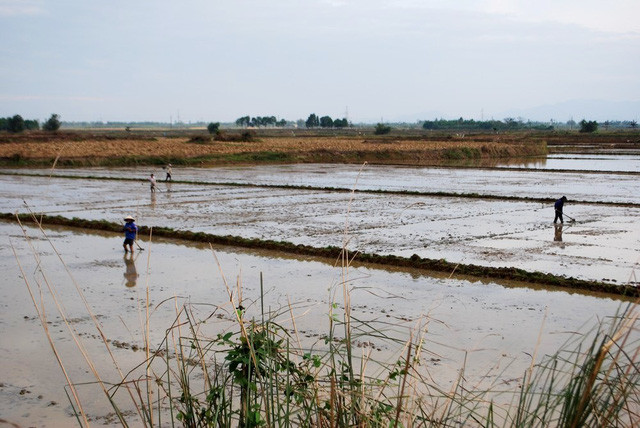 Người dân đi làm đồng chú ý khi mưa dông thường có sấm sét.