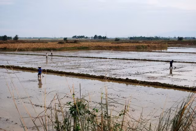 Người dân đi làm đồng chú ý khi mưa dông thường có sấm sét.