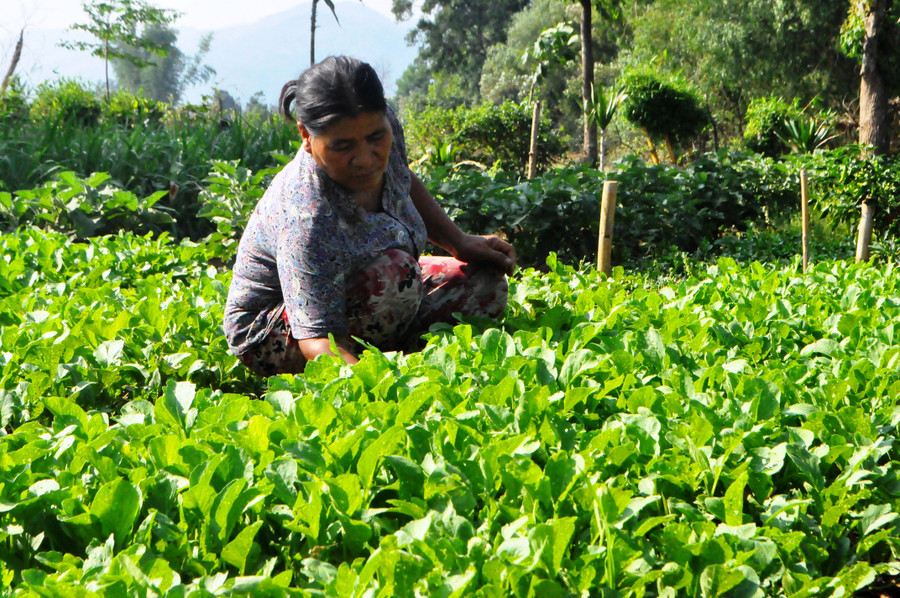 Ảnh: Trần Dung Ảnh: Trần Dung