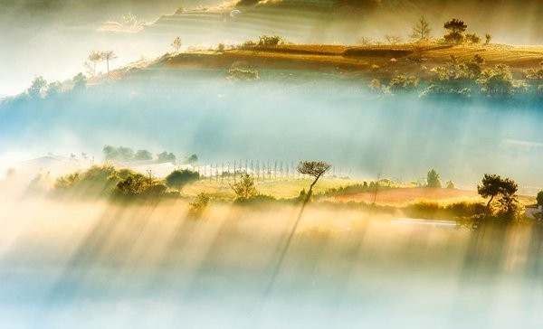 Đẹp như một bức tranh thơ ảo diệu - Ảnh: Ngô Thành Công