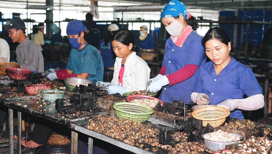  Các đơn vị, doanh nghiệp phải cung cấp thông tin về nhu cầu sử dụng lao động. Ảnh: T.N