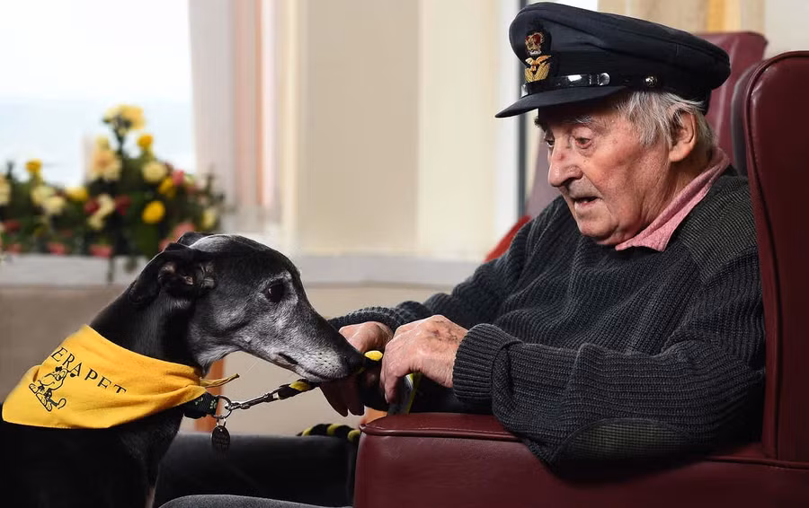 Giải nhất hạng mục Assistance Dogs của Alasdair MacLeod