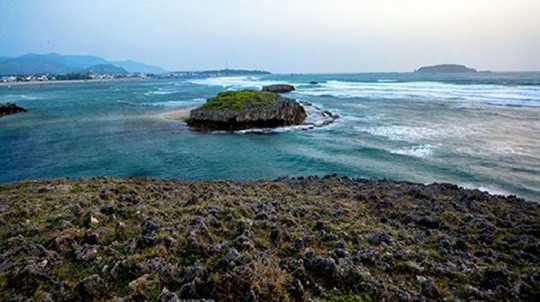 Ảnh: Baoninhthuan Ảnh: Baoninhthuan